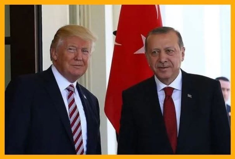 الرئيس أردوغان والرئيس ترمب ناقشا الملف السوري