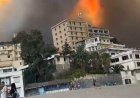 هلع وفرار.. حرائق ضخمة تحاصر منازل الأهالي في تيشي بولاية بجاية الجزائرية