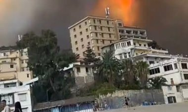 هلع وفرار.. حرائق ضخمة تحاصر منازل الأهالي في تيشي بولاية بجاية الجزائرية