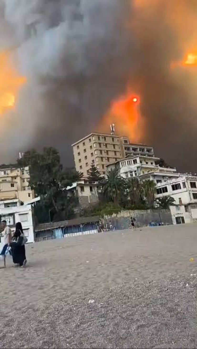 هلع وفرار.. حرائق ضخمة تحاصر منازل الأهالي في تيشي بولاية بجاية الجزائرية